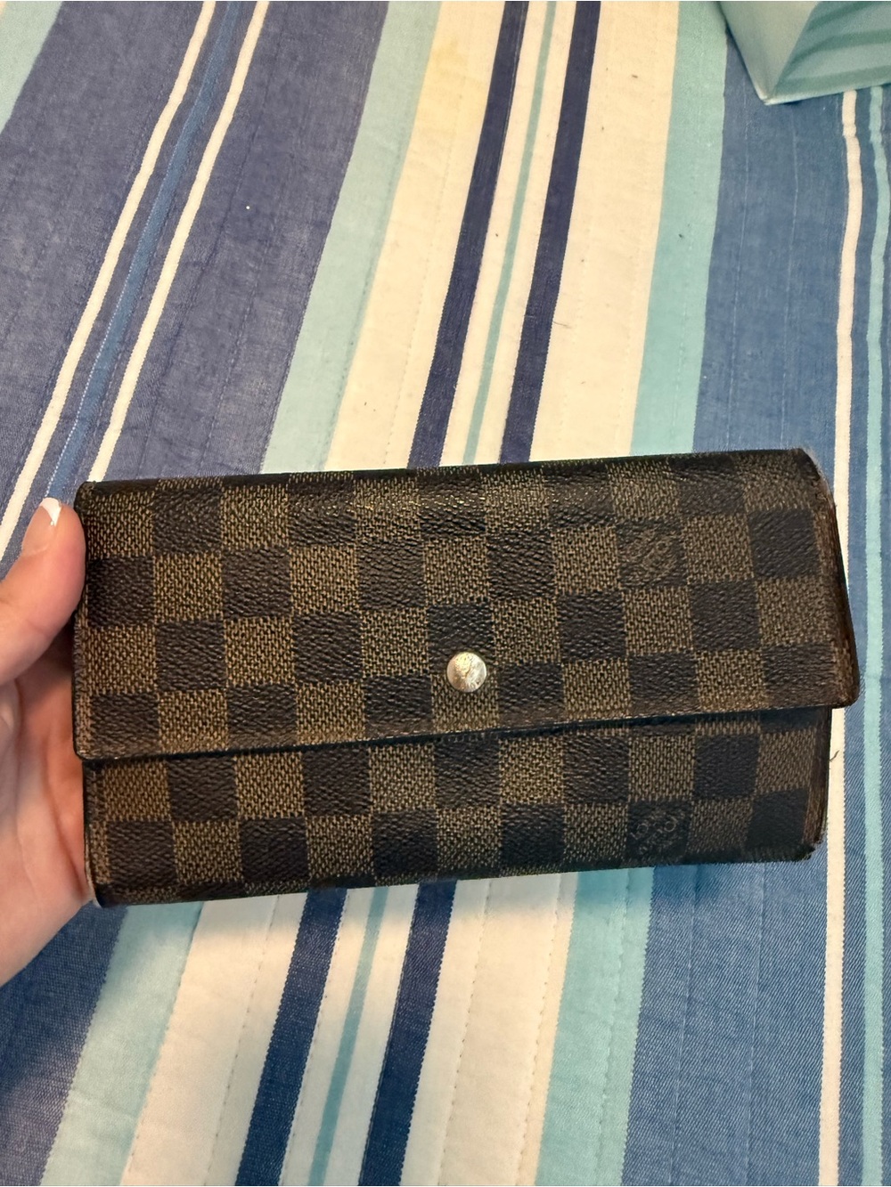 Louis Vuitton Damier long Wallet